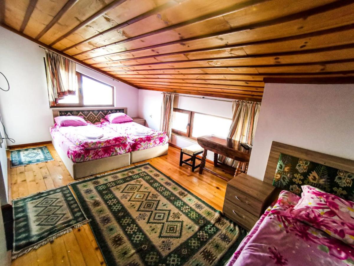 Hotel Alikante Sărniţa Exterior foto