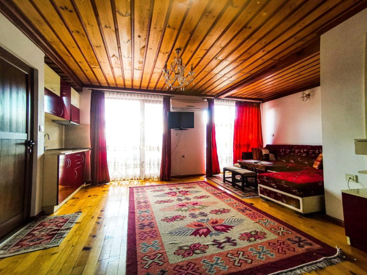 Hotel Alikante Sărniţa Exterior foto