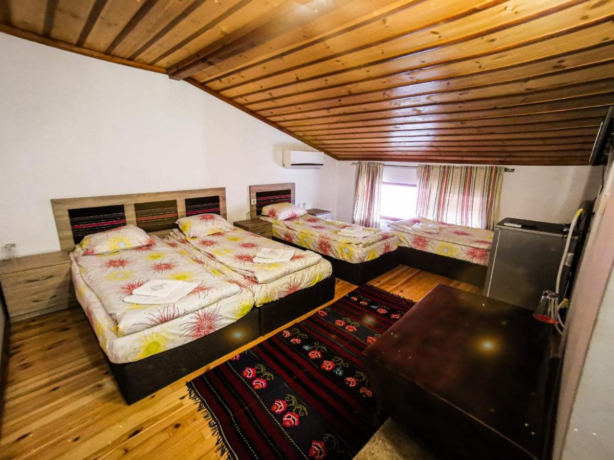 Hotel Alikante Sărniţa Exterior foto