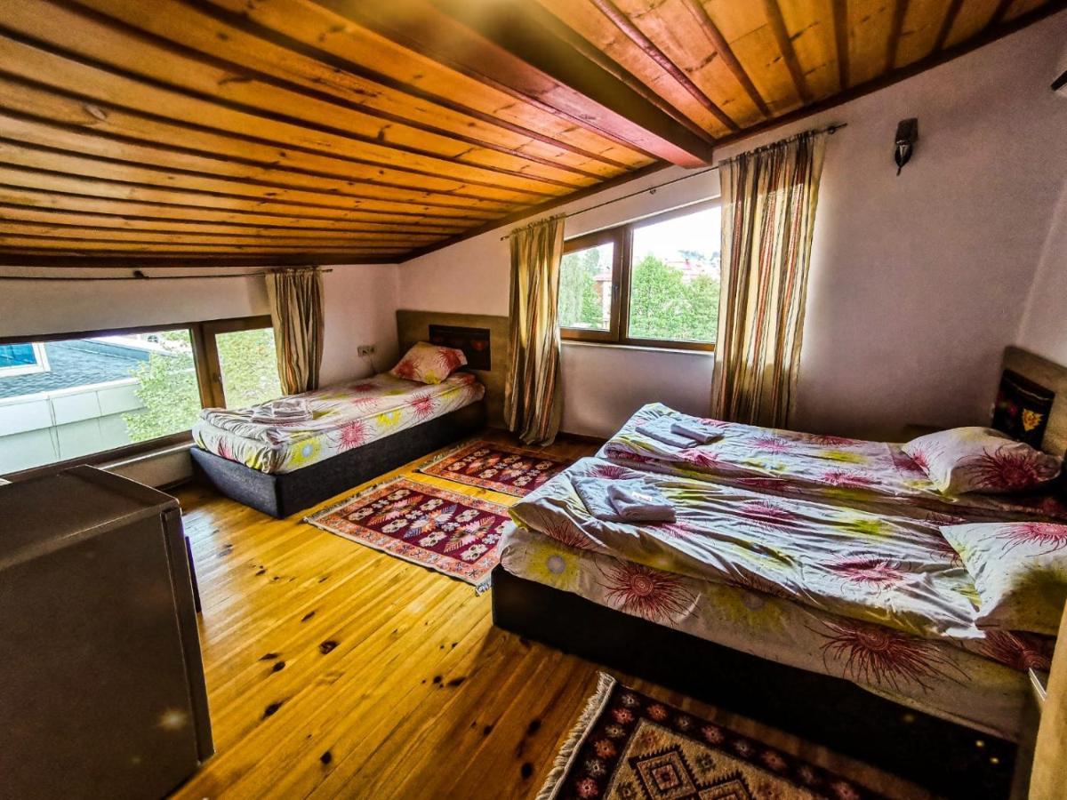 Hotel Alikante Sărniţa Exterior foto